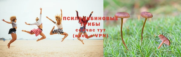 2c-b Куйбышев