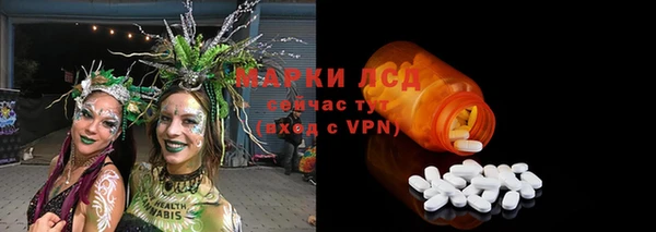 PSILOCYBIN Краснослободск