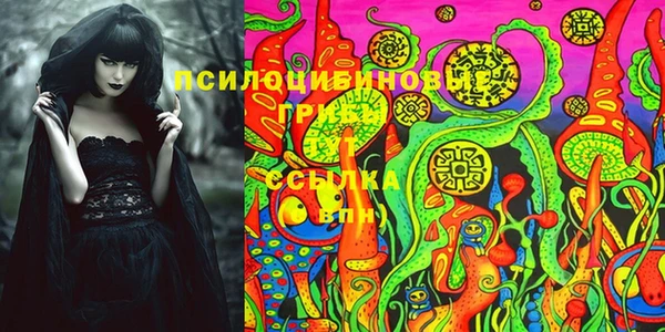 2c-b Куйбышев