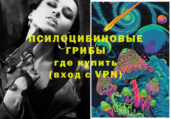 2c-b Куйбышев