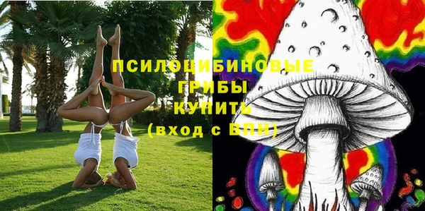 прущие грибы Кулебаки