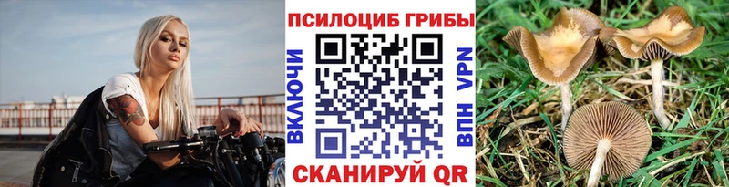 Галлюциногенные грибы GOLDEN TEACHER  что такое наркотик  Сураж 