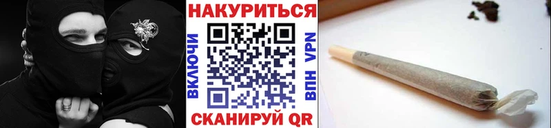 как найти наркотики  Сураж  Конопля VHQ 
